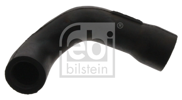 Hose, crankcase ventilation